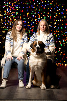Holiday Pet Portraits 2024