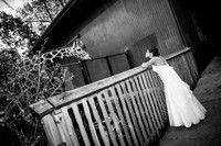 Jim and Jodi's Wedding!