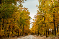 Presque Isle