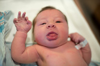 McNally Baby Portraits!