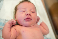 McNally Baby Portraits!
