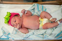 McNally Baby Portraits!