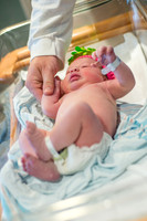 McNally Baby Portraits!