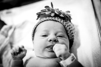 McNally Baby Portraits!