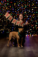 Holiday Pet Portraits 2024