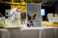 2026 Mutt Gala!