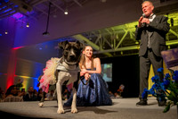 2026 Mutt Gala!