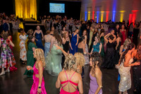 2026 Mutt Gala!