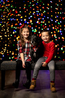 Holiday Pet Portraits 2024