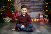 The Mizban Family Holiday Cards!