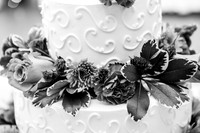Dave and Rianna's Wedding!