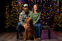 Holiday Pet Portraits 2024