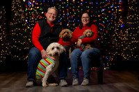 Holiday Pet Portraits 2024