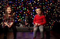 Holiday Pet Portraits 2024