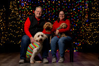 Holiday Pet Portraits 2024