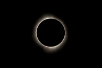 Eclipse 2024!