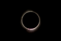 Eclipse 2024!