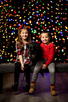 Holiday Pet Portraits 2024