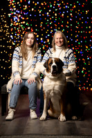Holiday Pet Portraits 2024
