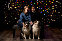 Holiday Pet Portraits 2024