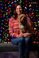 Holiday Pet Portraits 2024