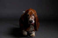 Jacob J Puddles In Erie!