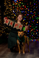Holiday Pet Portraits 2024