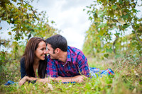 Jared and Nicole's Engagement Sitting!