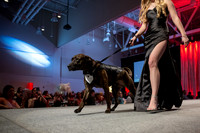 2024 Mutt Gala!