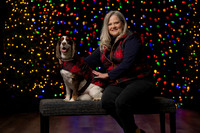 Holiday Pet Portraits 2024