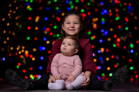 Young Family Portraits 2024!