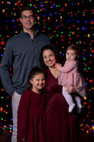 Young Family Portraits 2024!