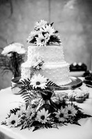 Adam and Lauren's Wedding!