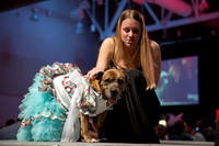 2024 Mutt Gala!