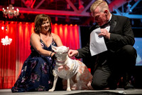 2024 Mutt Gala!