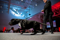 2024 Mutt Gala!