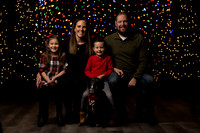 Holiday Pet Portraits 2024